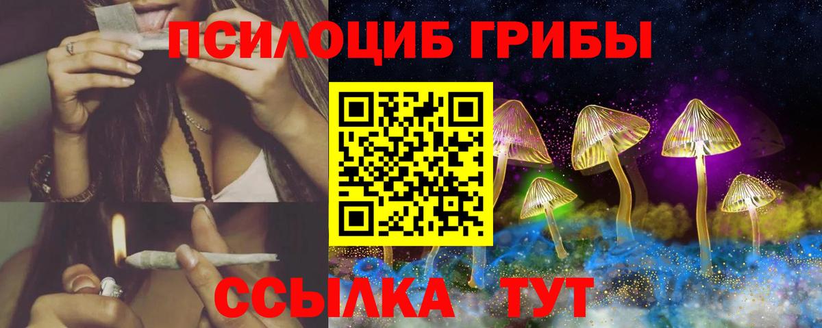 Псилоцибиновые грибы мицелий Менделеевск