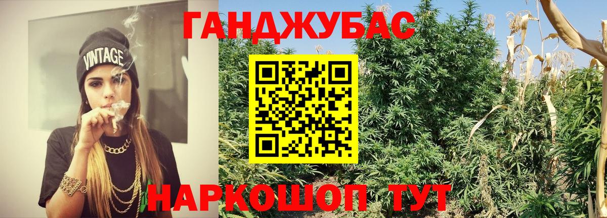 Шишки марихуана SATIVA & INDICA  Вход с VPN  Менделеевск  Марихуана White Widow  МАРИХУАНА MAZAR 